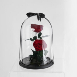 Everly Rouge | إيفرلي روج